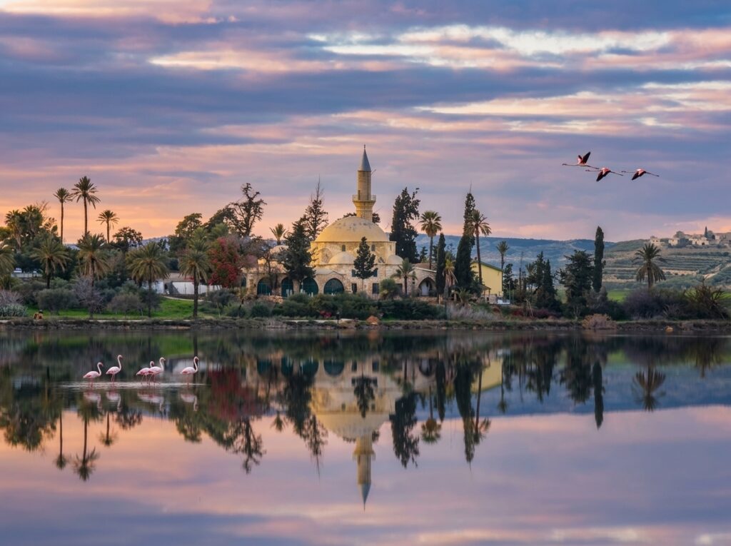 Lago Salato di Larnaca e Fenicotteri: Veduta di Hala Sultan Tekke