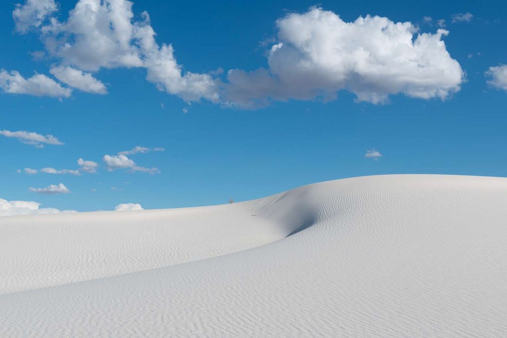 Dune di sabbia dorata: Primo piano dettagliato delle increspature geometriche sulla superficie di una duna di sabbia dorata, sotto la luce intensa del sole.