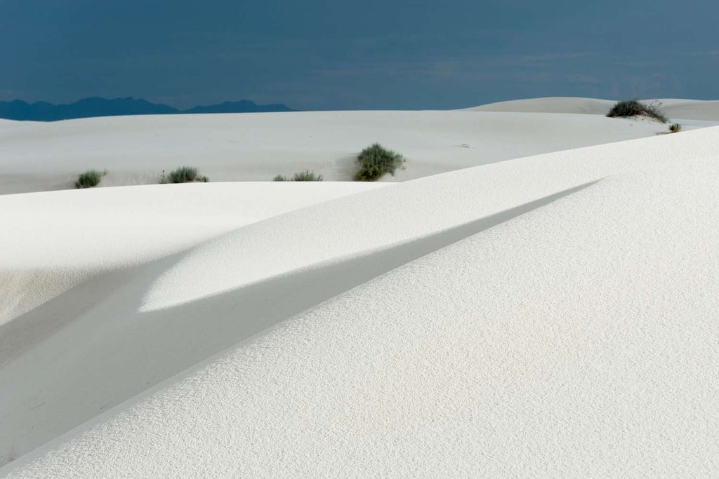 Piccoli cespugli verdi che emergono dalle dune di sabbia bianca a White Sands.