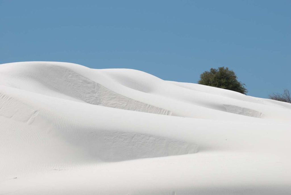 Una maestosa duna di gesso bianco con increspature dettagliate in primo piano. Sullo sfondo, la duna si fonde con una lussureggiante vegetazione desertica composta da cespugli, yucca e piccoli alberi, ai piedi di imponenti montagne rocciose sotto un cielo azzurro limpido.